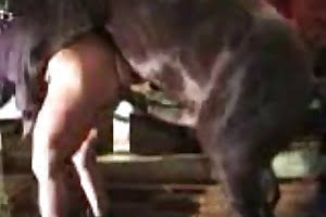 bestiality porn loves