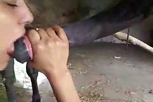 horse porn zoo dick
