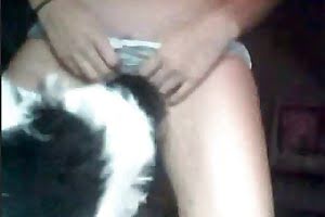 bestiality porn pet porn