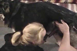 homemade zoo bestiality-videos