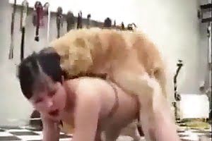 zoofil porn bestiality porn