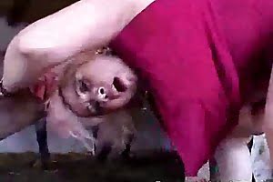 pierced bestiality porn