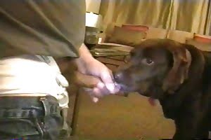 savage animal fuck