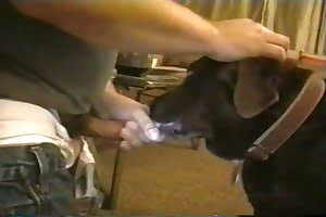 savage animal fuck