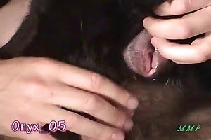 awesome gay-animal-porn