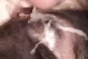 gay-animal-porn bestiality-videos