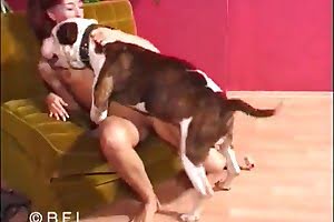 dog porn featuring