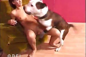dog porn featuring