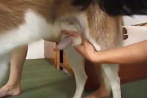 free-beastiality-porn dog porn