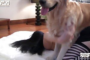 girl bestiality porn