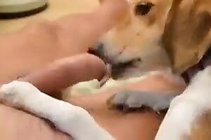 adorable dog porn