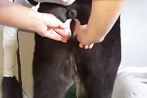 zoo pussy gonna