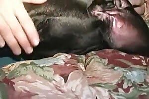 bestiality porn missionary