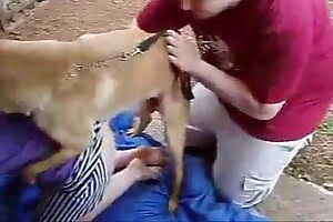 dog-fucks-blonde  purple