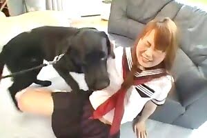 dog porn animal fuck
