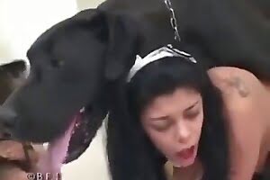 latina dog porn