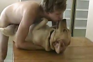 dog porn bestiality porn