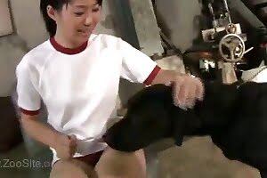 animal fuck dog porn