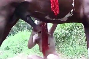 zooporn horse porn