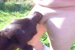 dog porn zoo dick