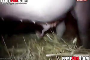 farm sex crazy