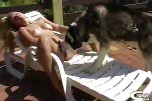bestiality porn spectacular