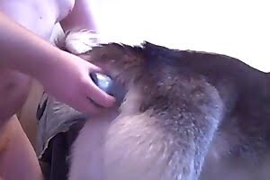 zoo sex bestiality porn