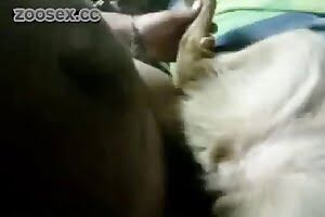 zoo sex zoo love