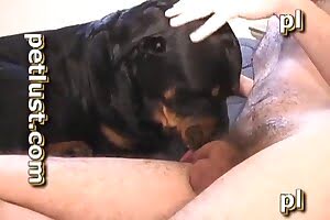 guy-fucks-dog animal fuck
