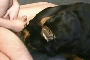 twisted dog porn