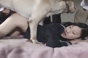 bestiality porn dog porn