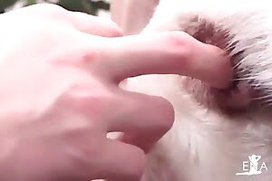 babes animals
