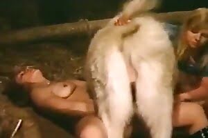 farm sex bestiality porn