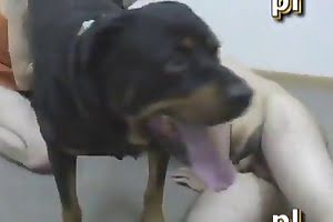 rottweiler floor