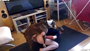 sexy blonde sluts,girl fucks with animal