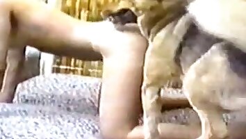 zoophilia sex video,free zoo porn video