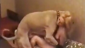 hardcore animal sex,free zoo porn video