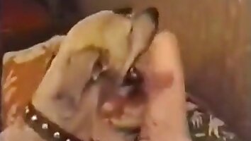hardcore animal sex,free zoo porn video