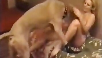 sexo duro con animales,video porno zoológico gratis