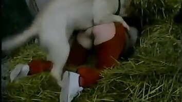 follando coño,animal folla mujer