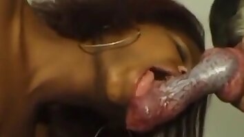 wild porn,xxx bestiality free video