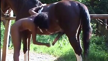 oral sex,free horse sex video