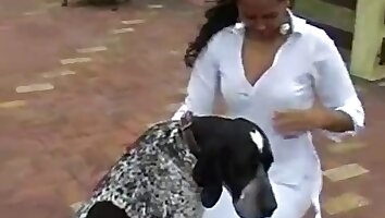 zoo porn with dog,human and animal fucking