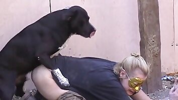 sexo en la granja,video de sexo canino gratis