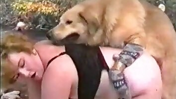 صور إباحية برية,فيديو جنسي عن زوفيليا