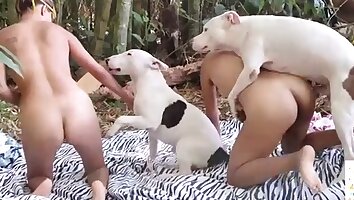 follada dura,zoopornografía grupal