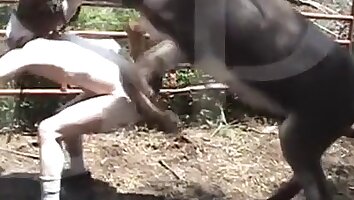 sexo en la granja,video sexual de zoofilia