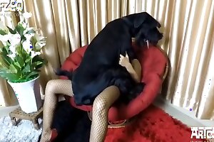 , 