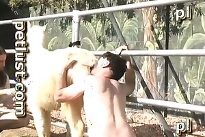 , 