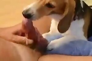 , 